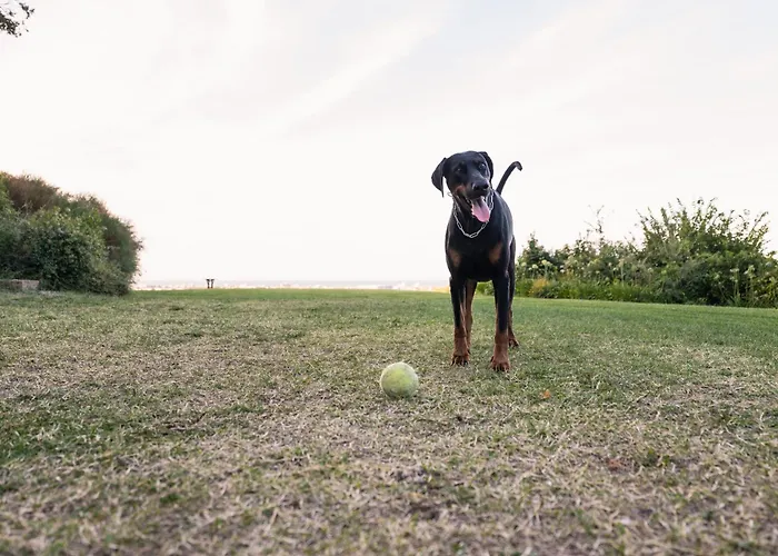 Adele - Historic Dimora With Pool & Sea View